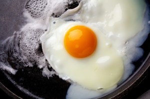 egg